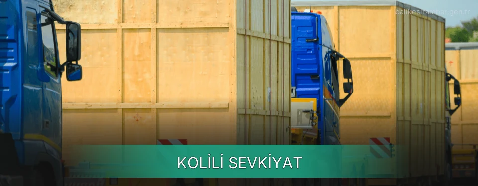 Balıkesir Kolili Sevkiyat Ambar Firmaları