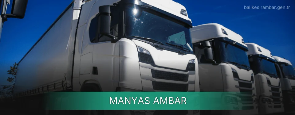 Manyas Ambar Kargo